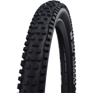 Schwalbe Nobby Nic TLR ADDIX Perform Tire